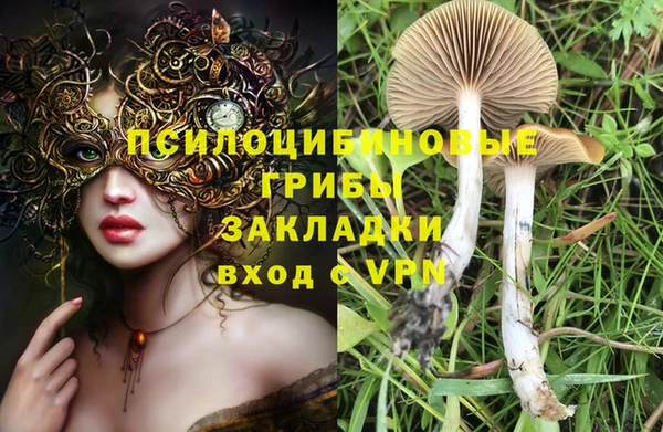 мяу мяу кристалл Няндома