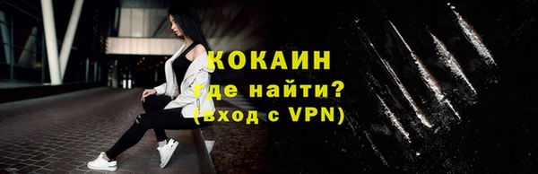 дживик Новодвинск