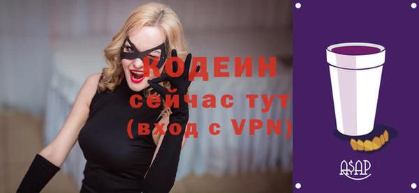 мет Новозыбков