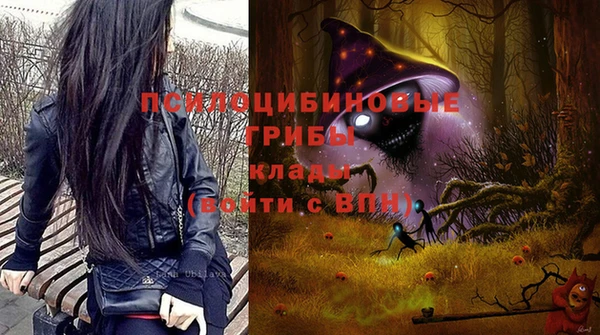 дживик Новодвинск