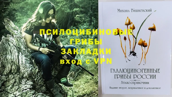 мяу мяу кристалл Няндома