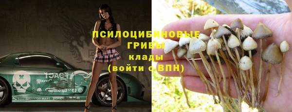 кокс Анива