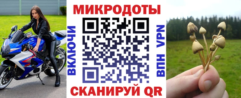 Галлюциногенные грибы ЛСД  как найти   гидра ТОР  Разумное 